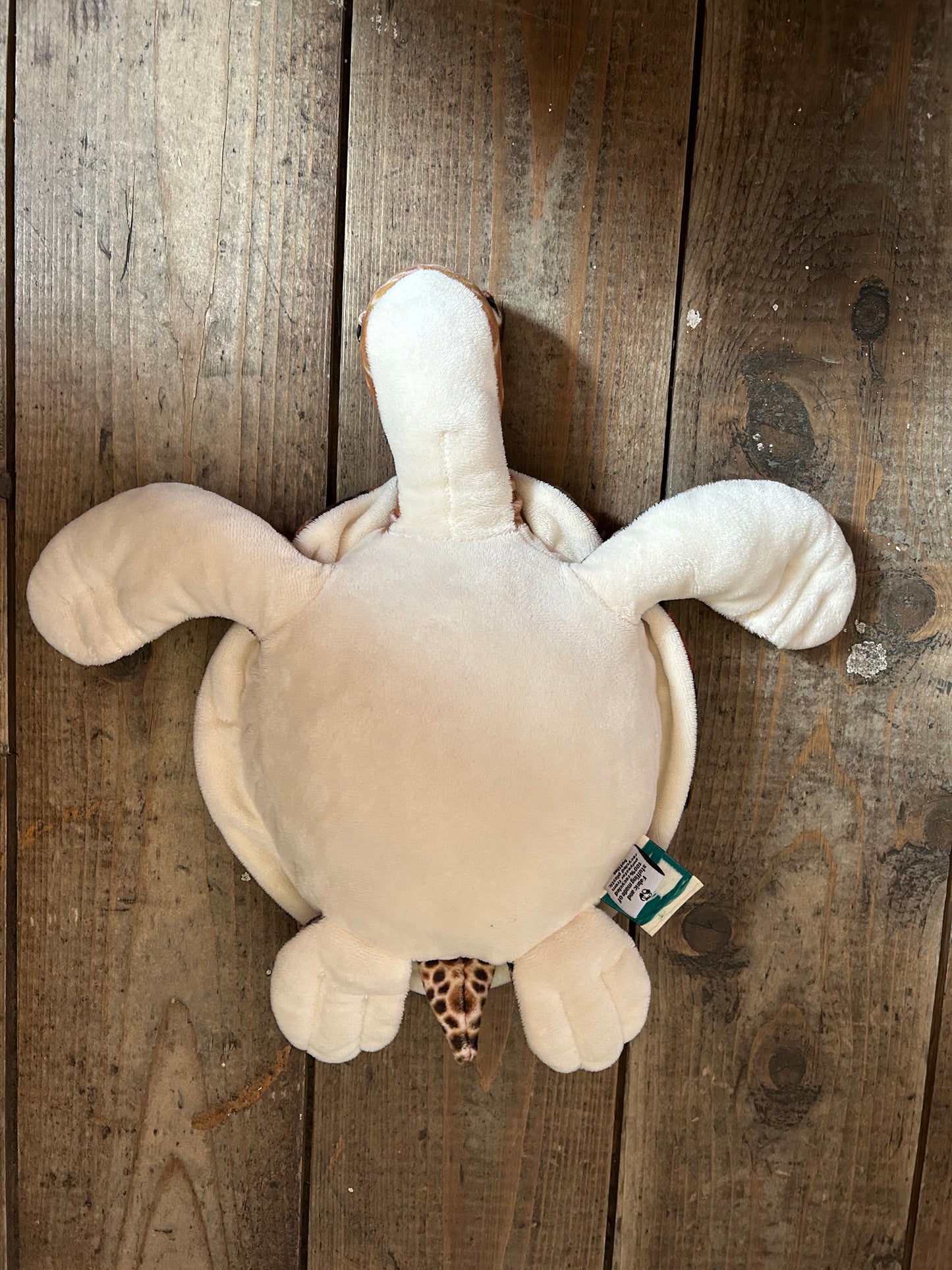 Turtle soft toys