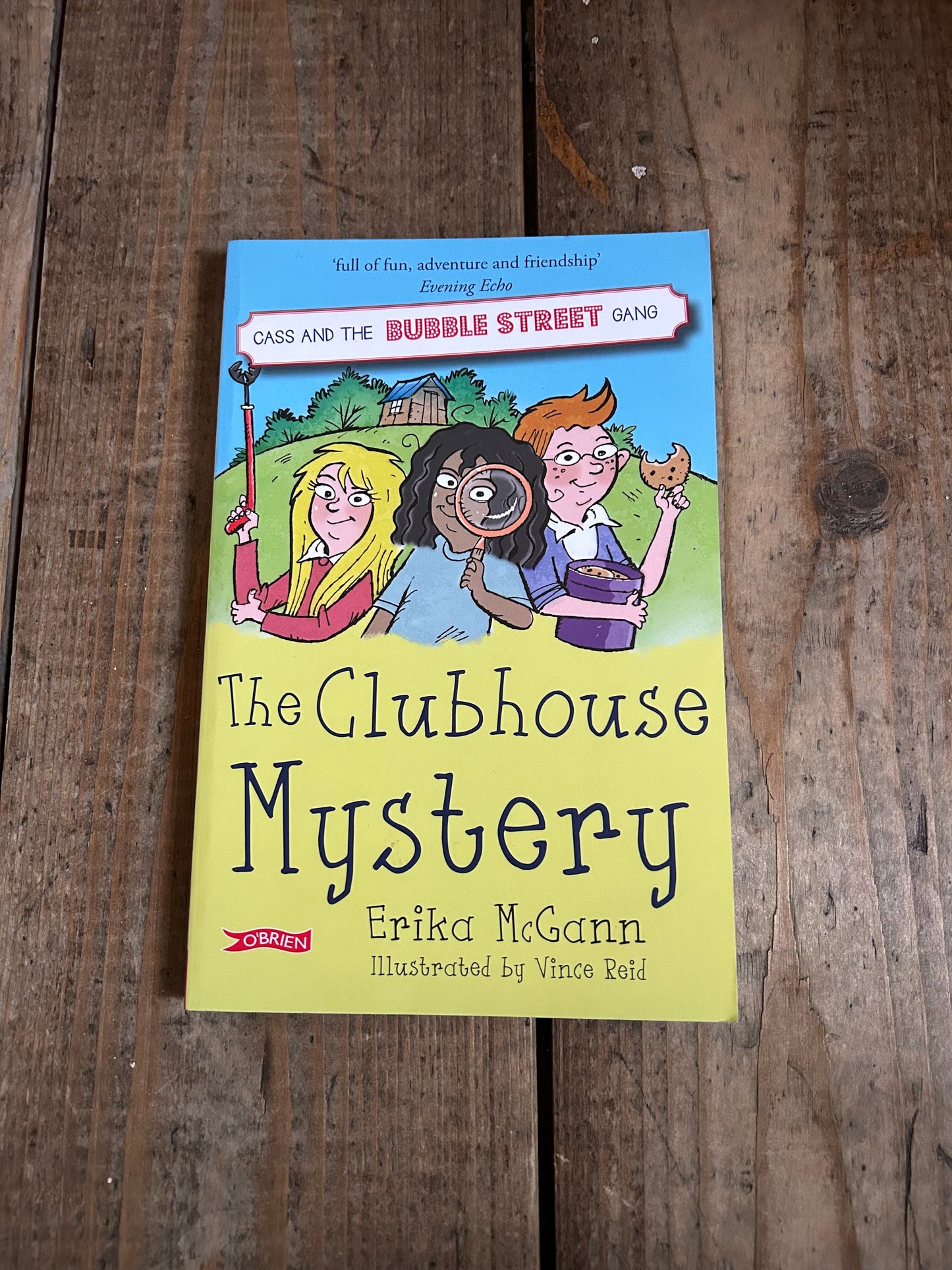The clubhouse mystery by Erika Mcgann
