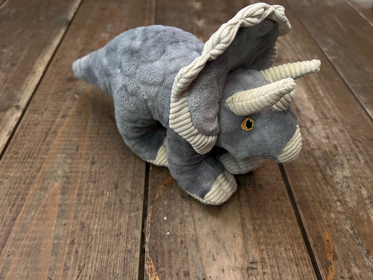 Dinosaur