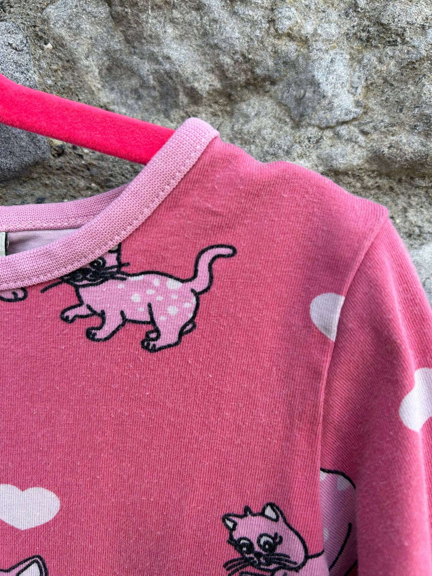 Pink cats top  3-4y (98-104cm)