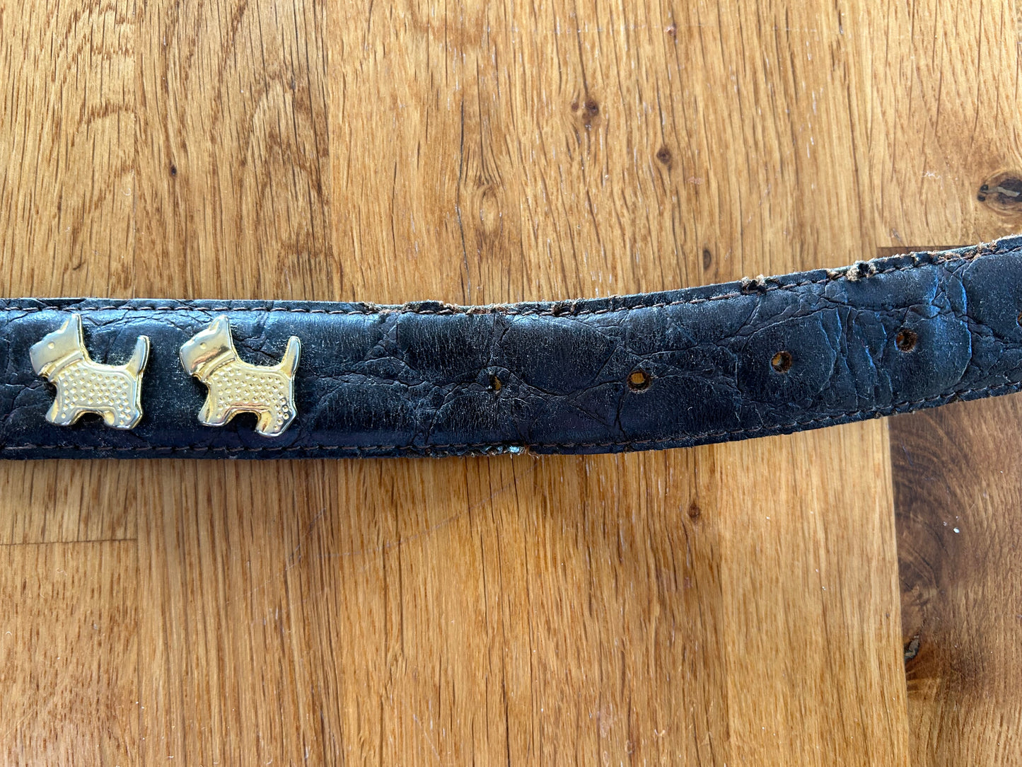 Dogs belt