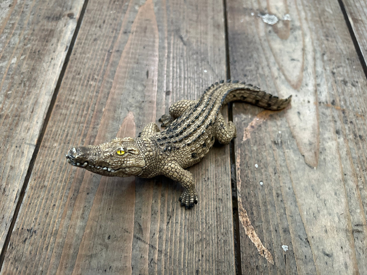 Crocodile