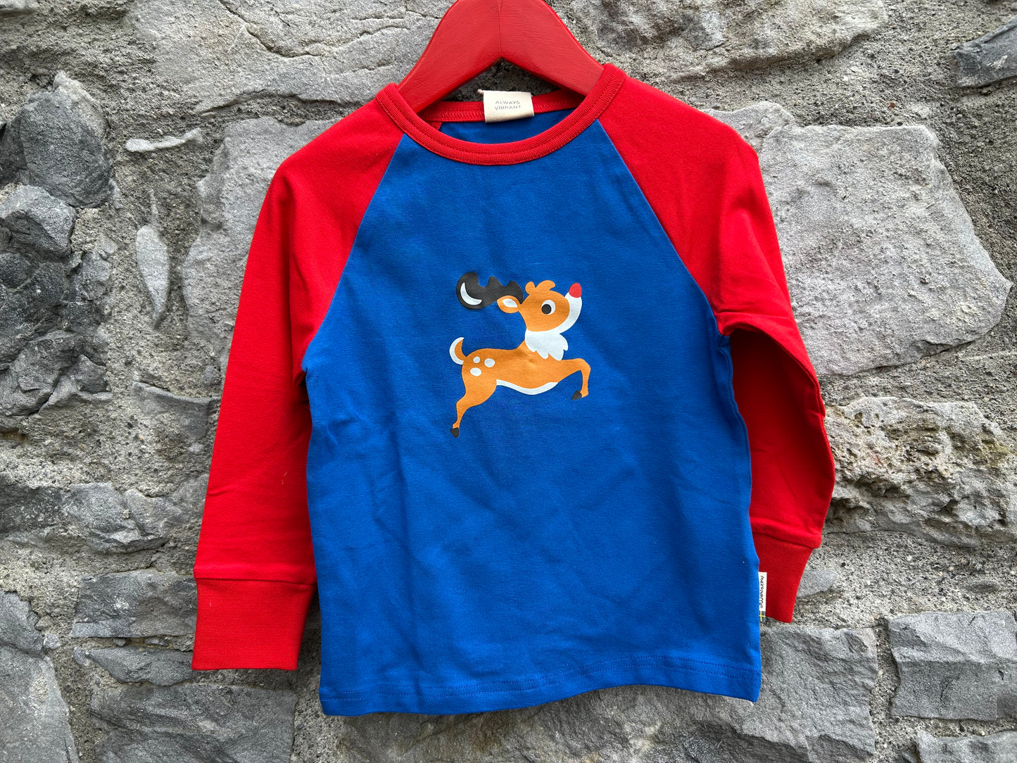 Raglan Reindeer Top   2-3y (92-98cm)