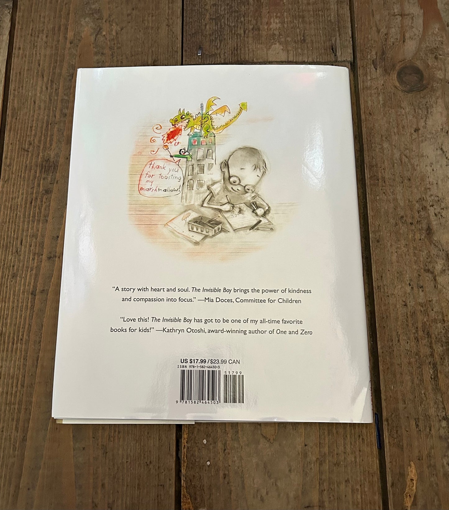 The invisible boy by Trudy Ludwig
