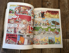 Load image into Gallery viewer, Asterix by Rene Goscinny comics set
