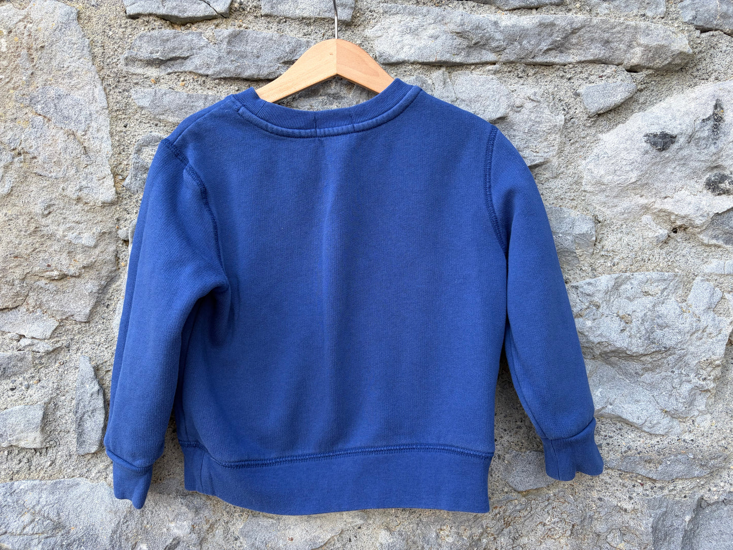 Bear blue sweatshirt 4y (104cm)