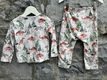 Load image into Gallery viewer, Dinosaurs&amp;trees pjs   12-18m (80-86cm)
