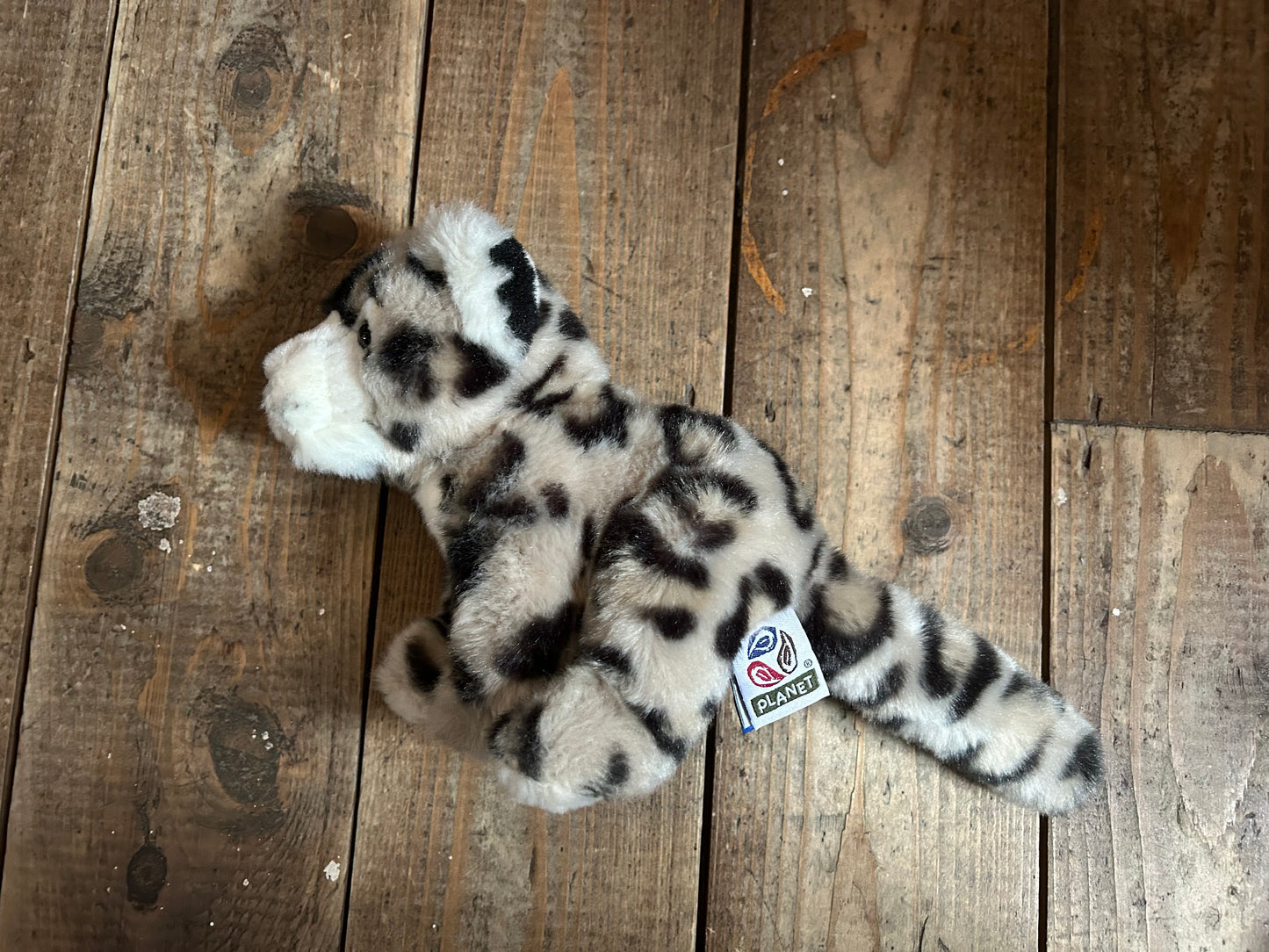 Snow leopard