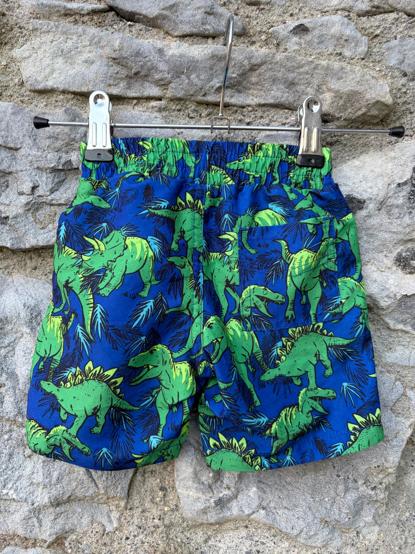 Dinosaurs blue swim shorts 3-6m (62-68cm)