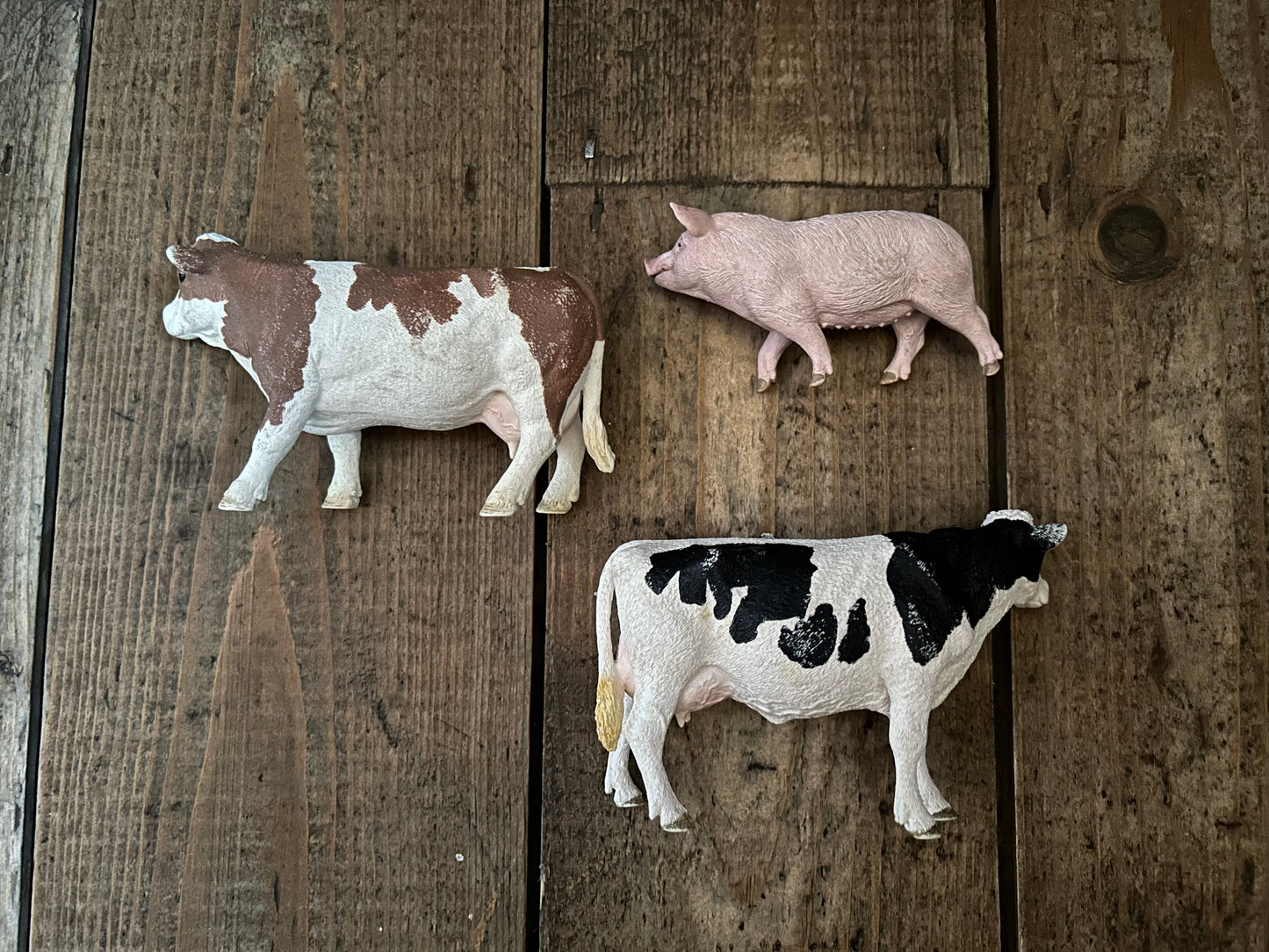 Farm animals