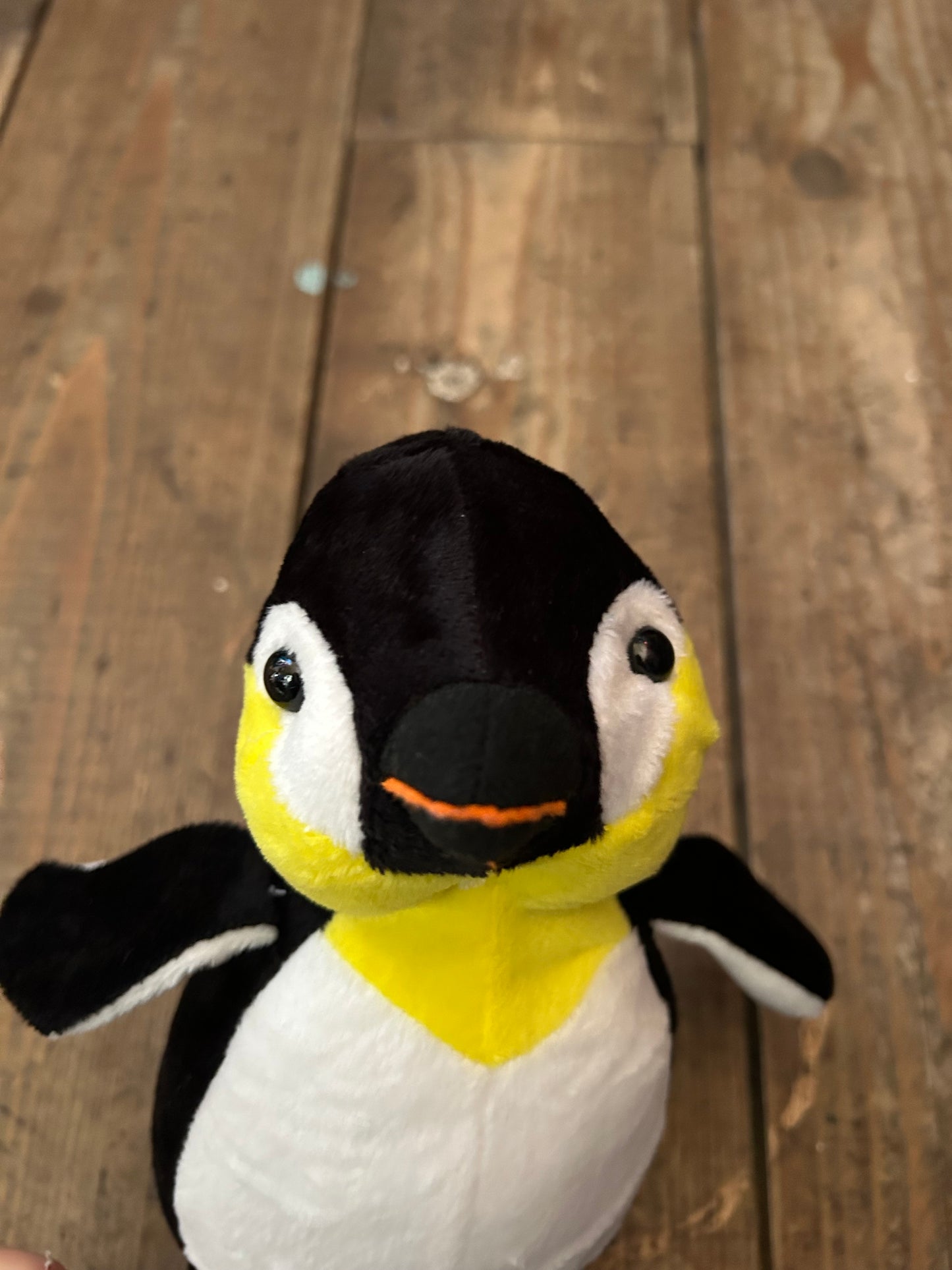 Penguin