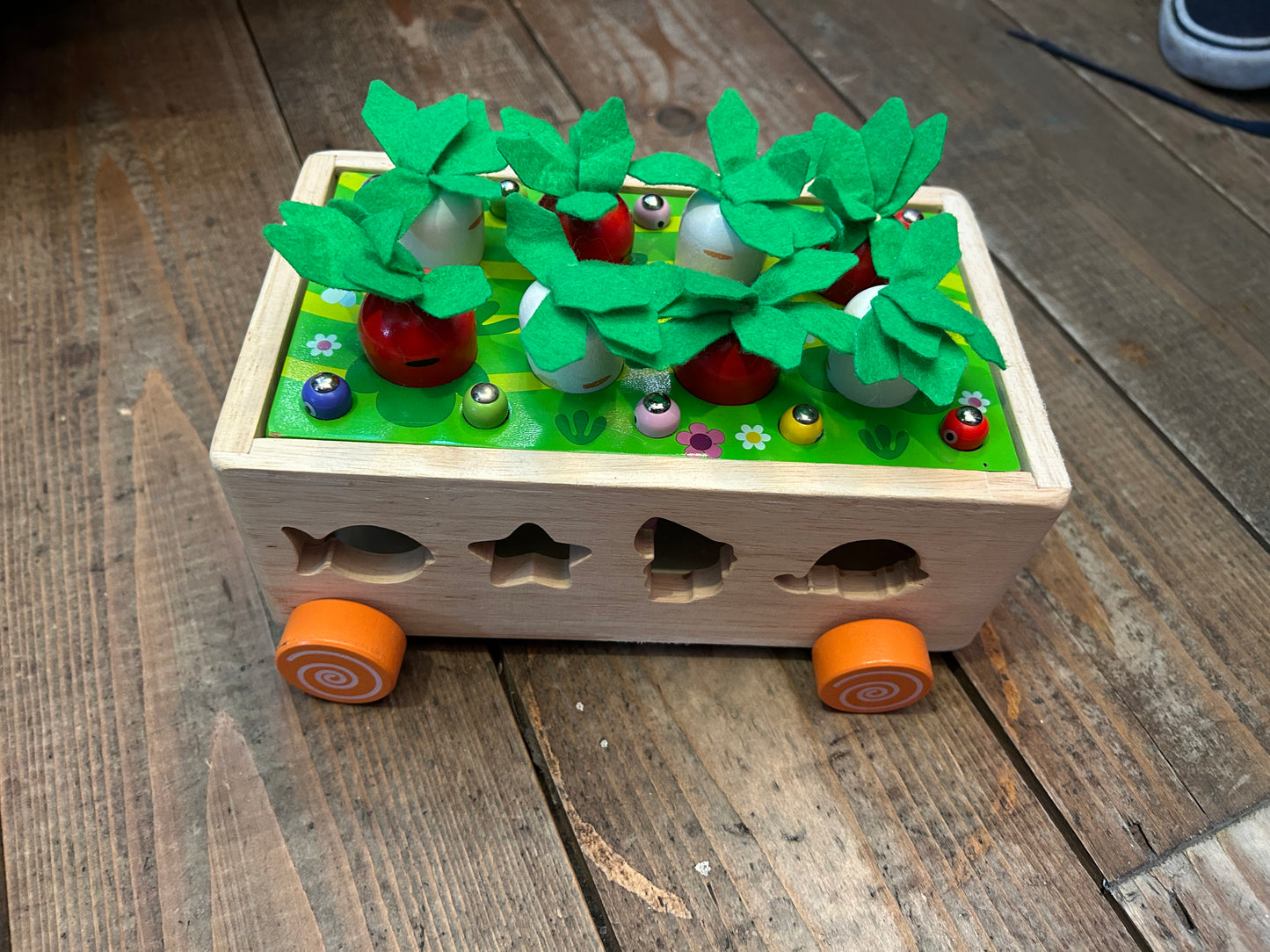 Radish box shape sorter