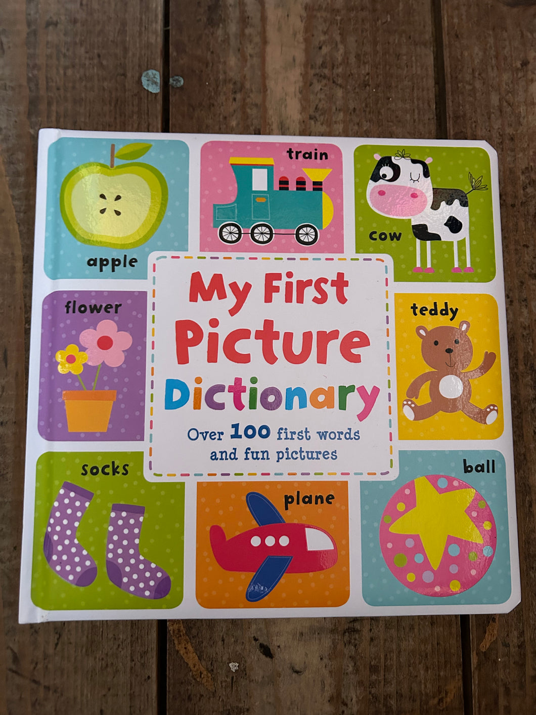 My first picture dictionary