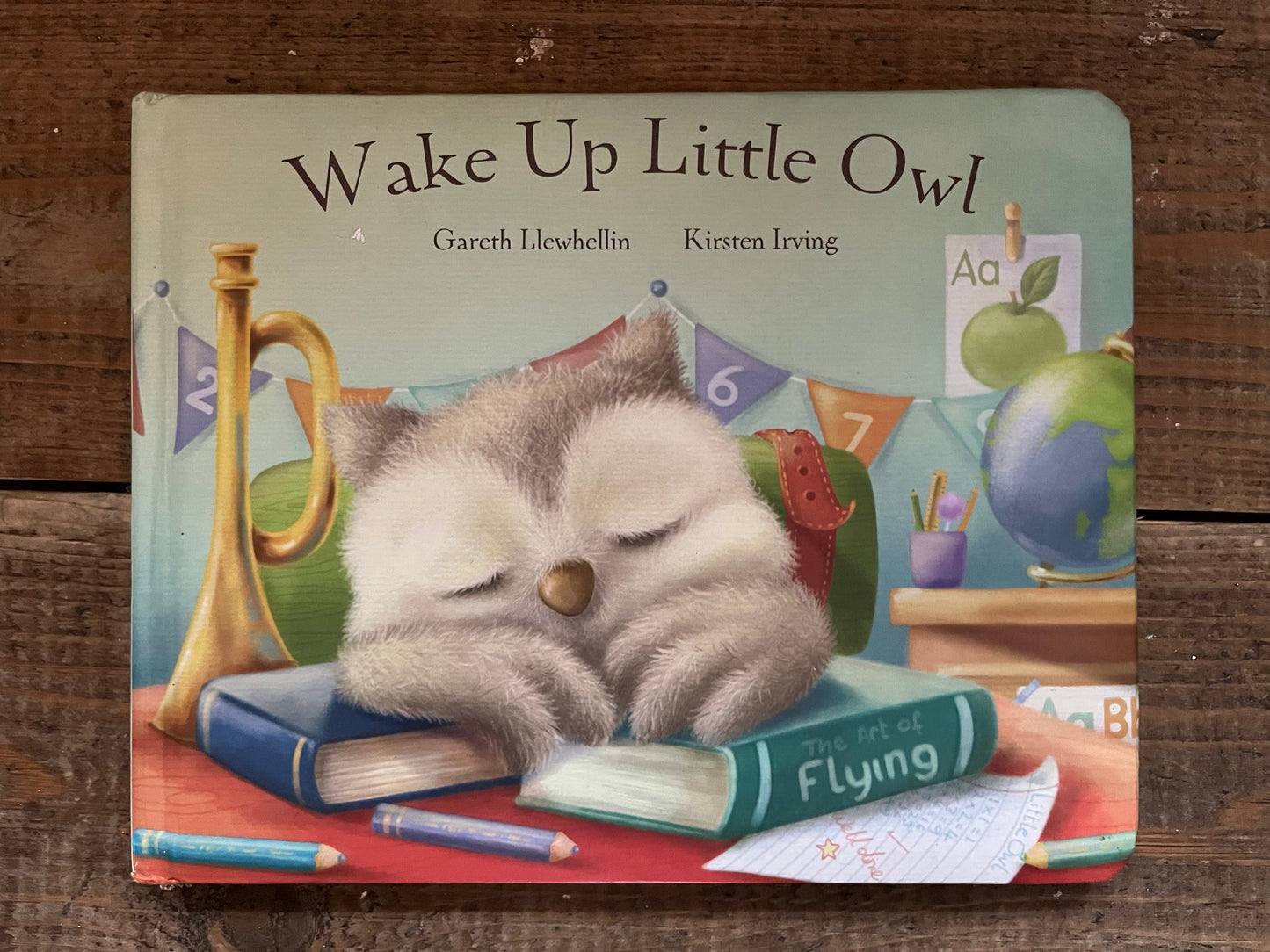 Wake Up Little Owl by Gareth Llewhellin