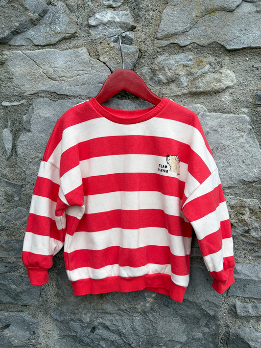 Team player stripy sweatshirt 3-4y (98-104cm)