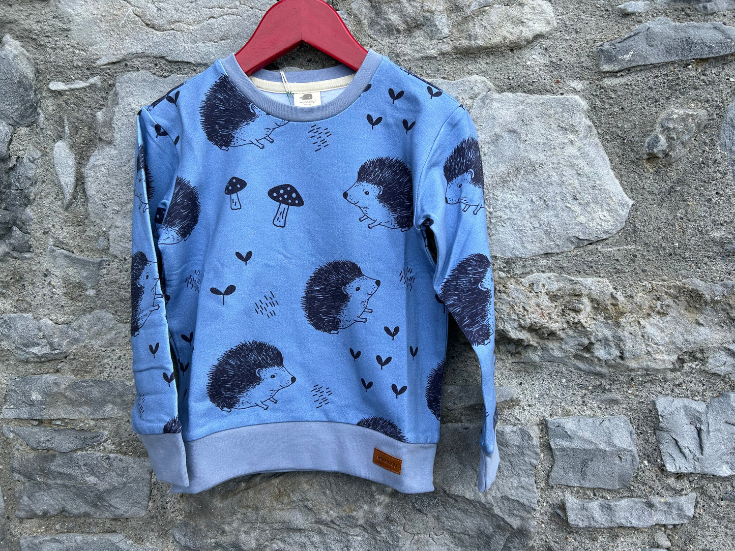 Hedgehog blue sweatshirt   4y (104cm)