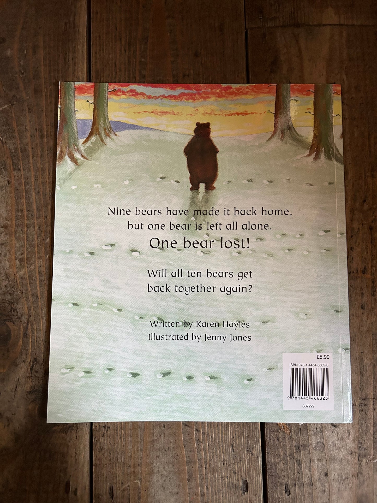 One bear lost by Karen Hayles
