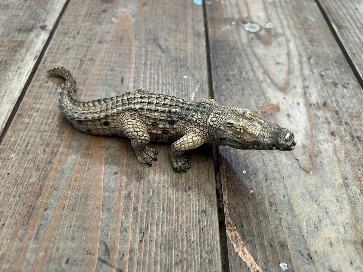 Crocodile