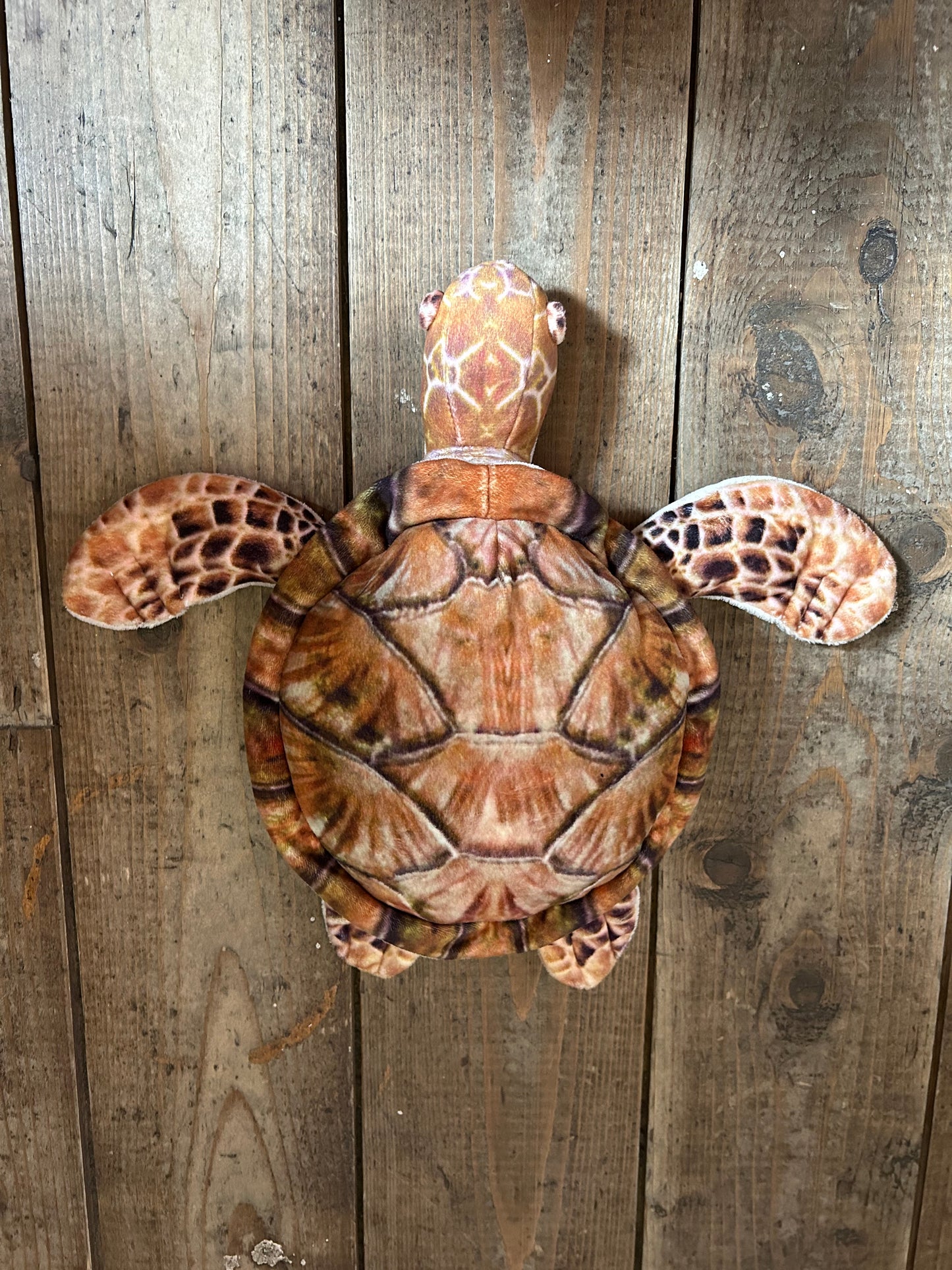 Turtle soft toys