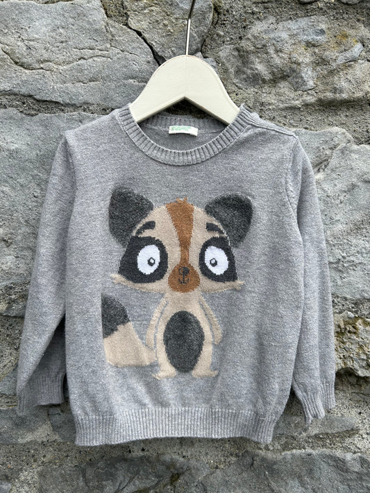 Raccoon grey jumper  12m (80cm)