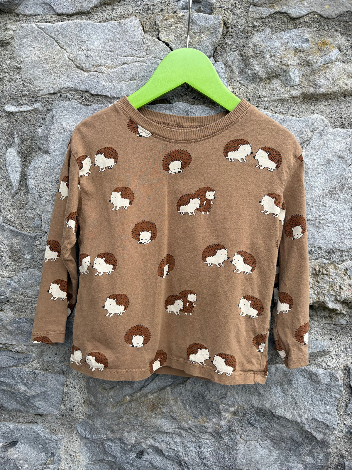Hedgehogs brown top  2-3y (92-98cm)