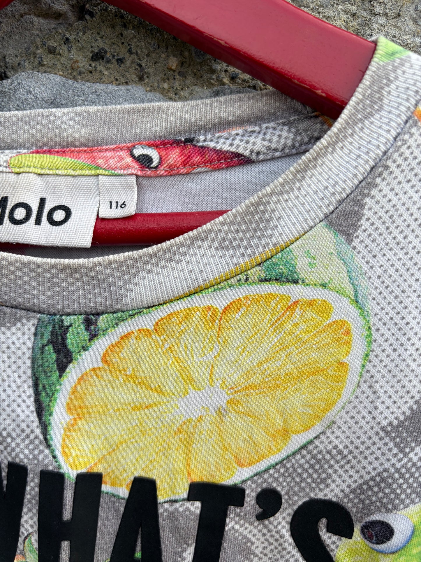 Inside fruit T-shirt 6y (116cm)