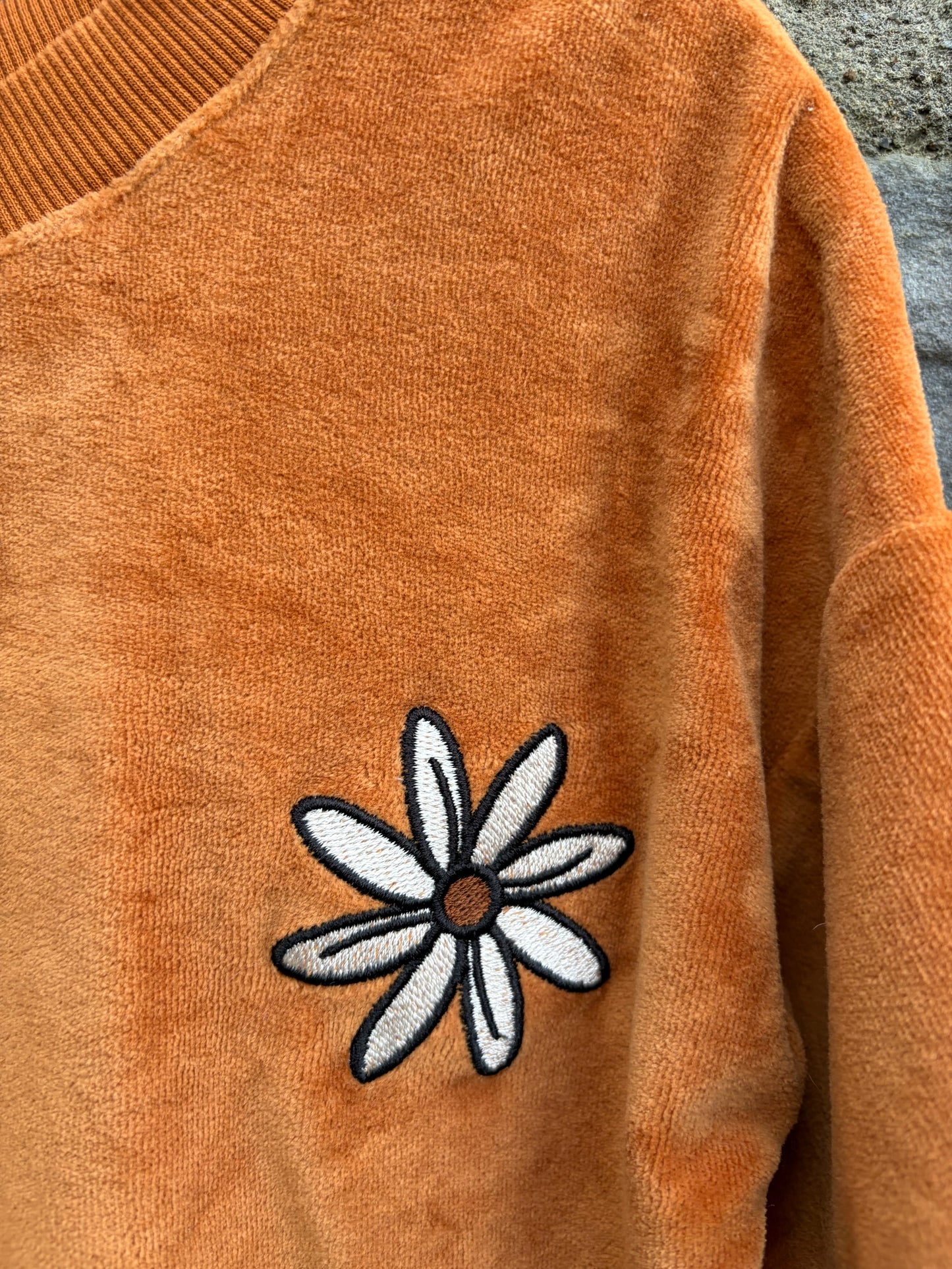 Rusty velvet cropped T-shirt  9-10y (134-140cm)