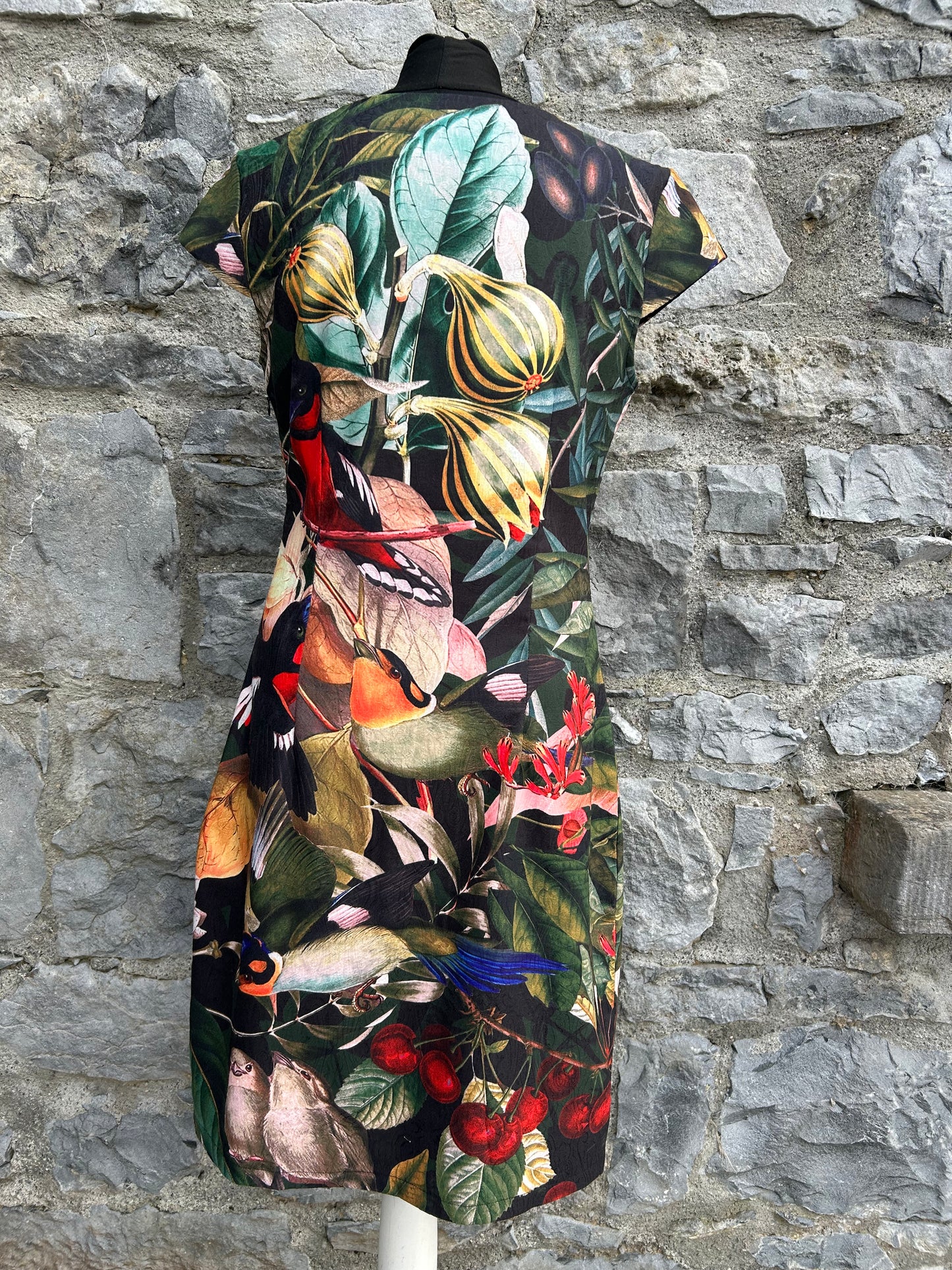 Birds in the orchard dress uk 12