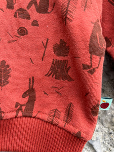 Forest animals sweatshirt  0-3m (56-62cm)