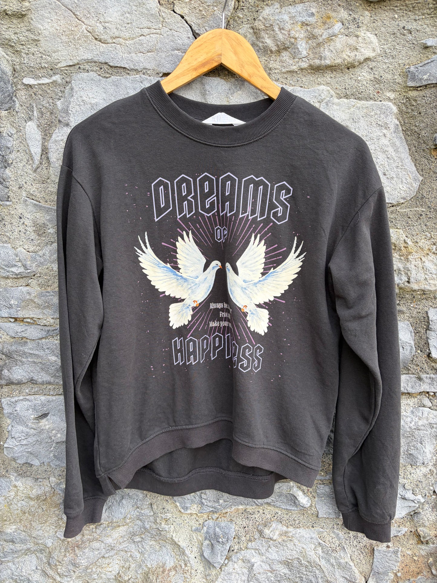 Dreams doves charcoal sweatshirt  12-13y (152-158cm)