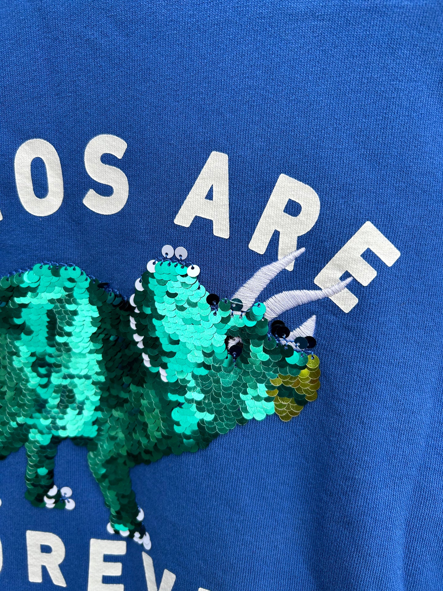 Sequin dinosaurs blue sweatshirt  9-10y (134-140cm)