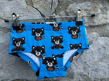 Load image into Gallery viewer, Blue raccoon briefs  3-4y (98-104cm)
