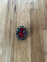 Load image into Gallery viewer, Red scenary brooch

