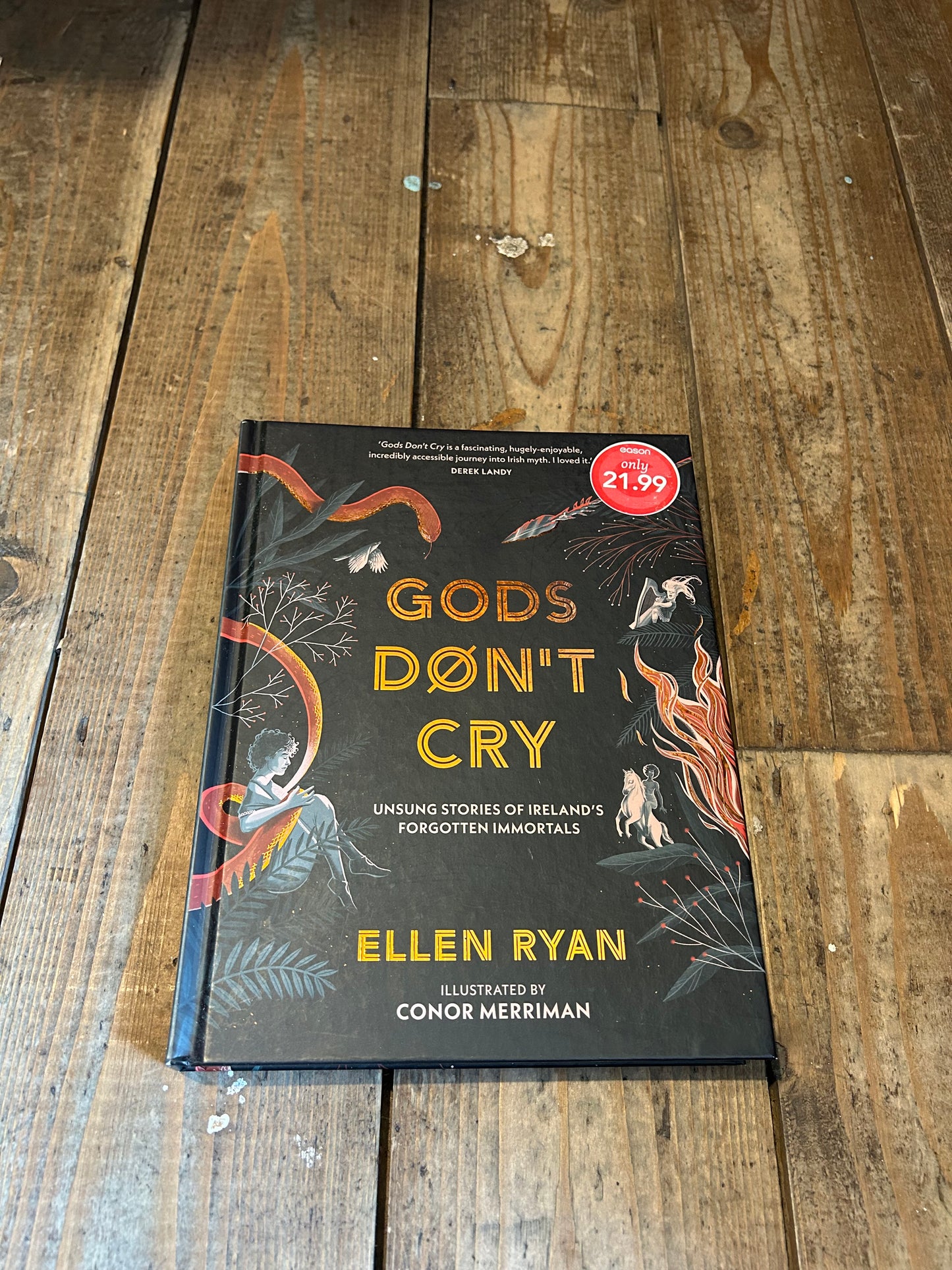 Gods don’t cry by Ellen Ryan
