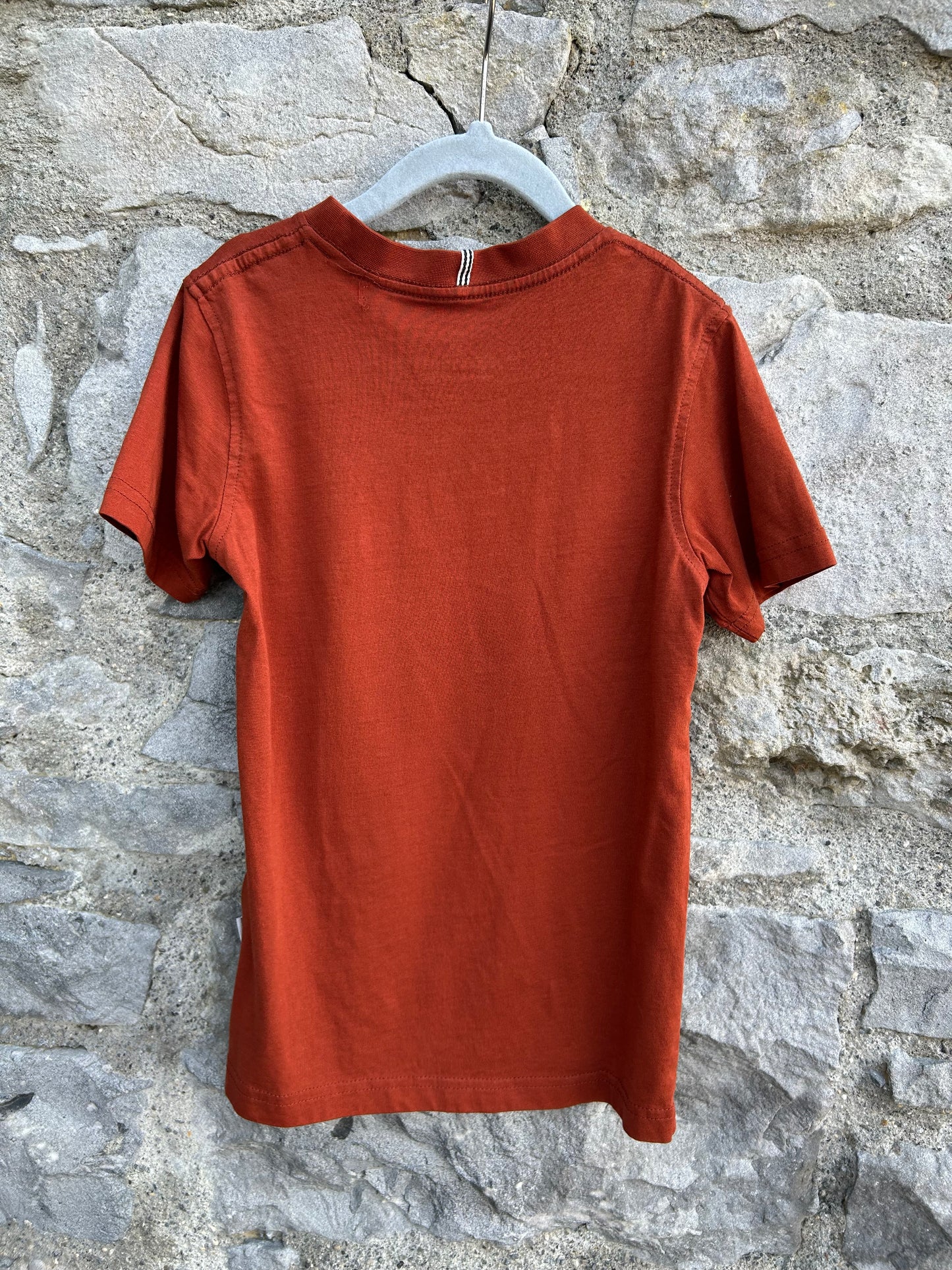Brown T-shirt  7-8y (122-128cm)