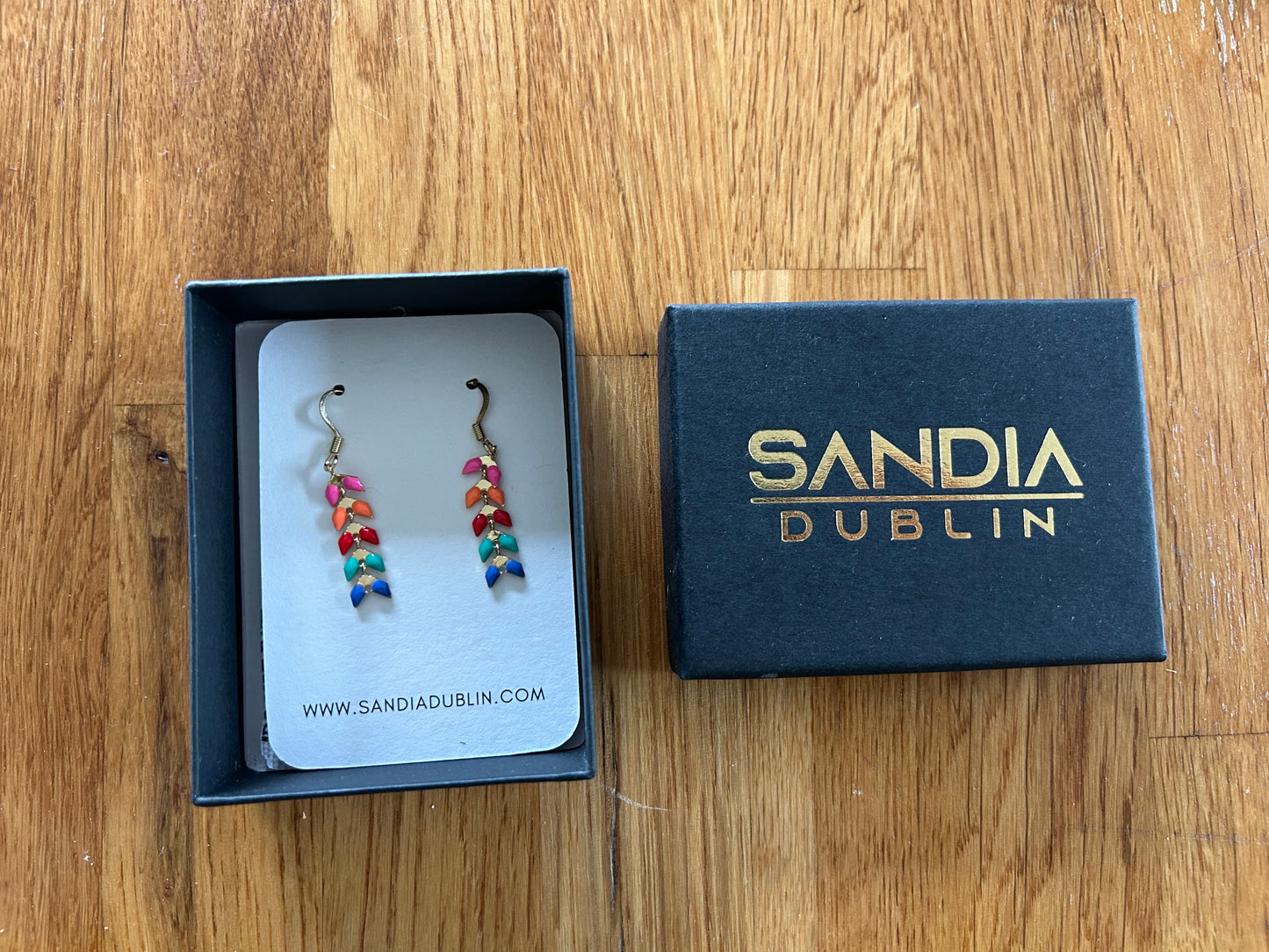 Rainbow earrings