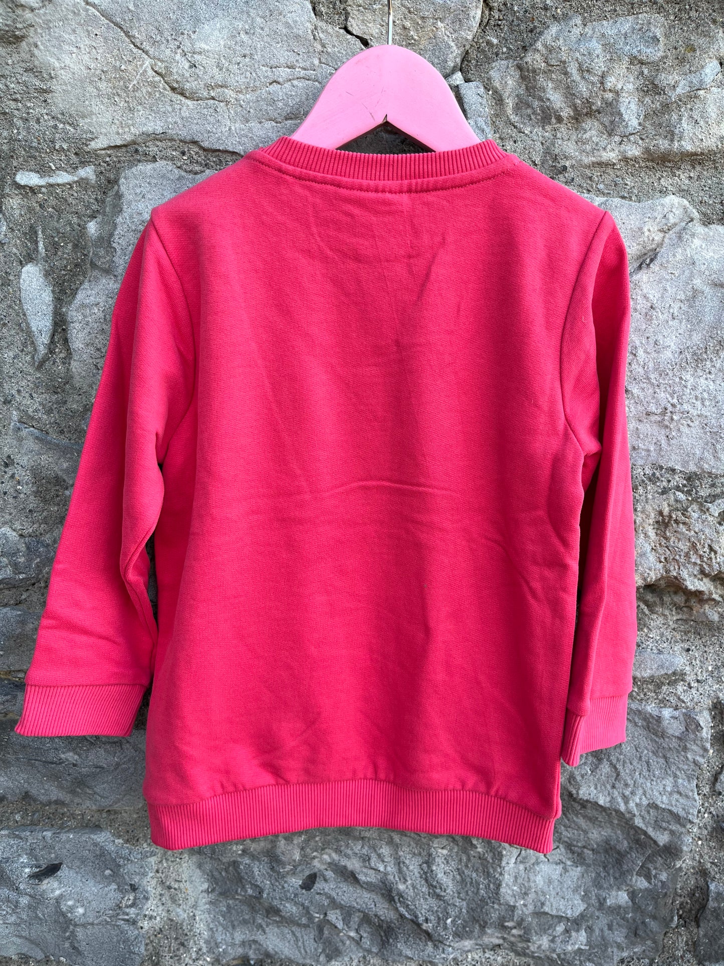 Train pink sweatshirt  3-4y (98-104cm)