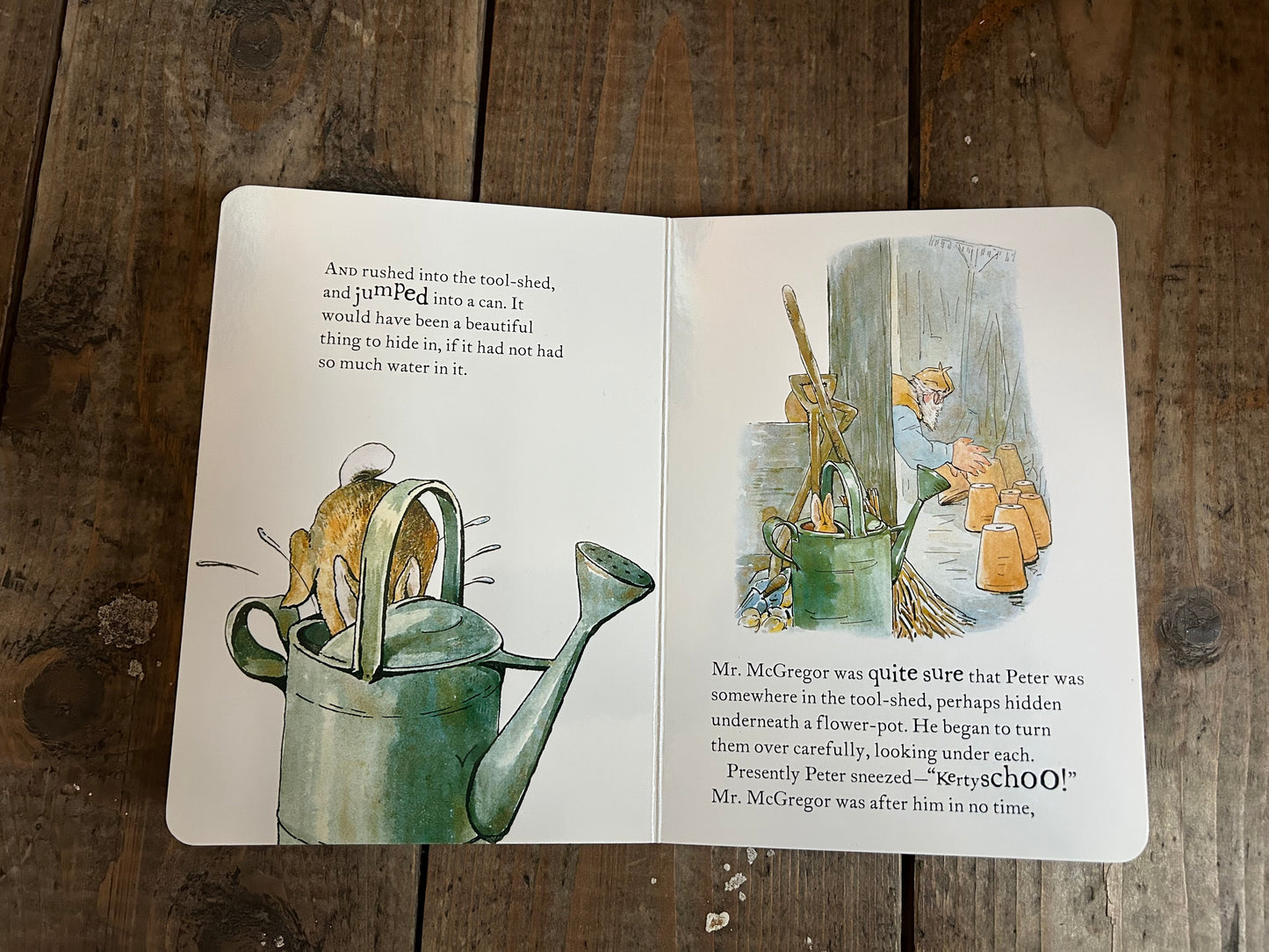 The tale of Peter rabbit by Beatrix Potter