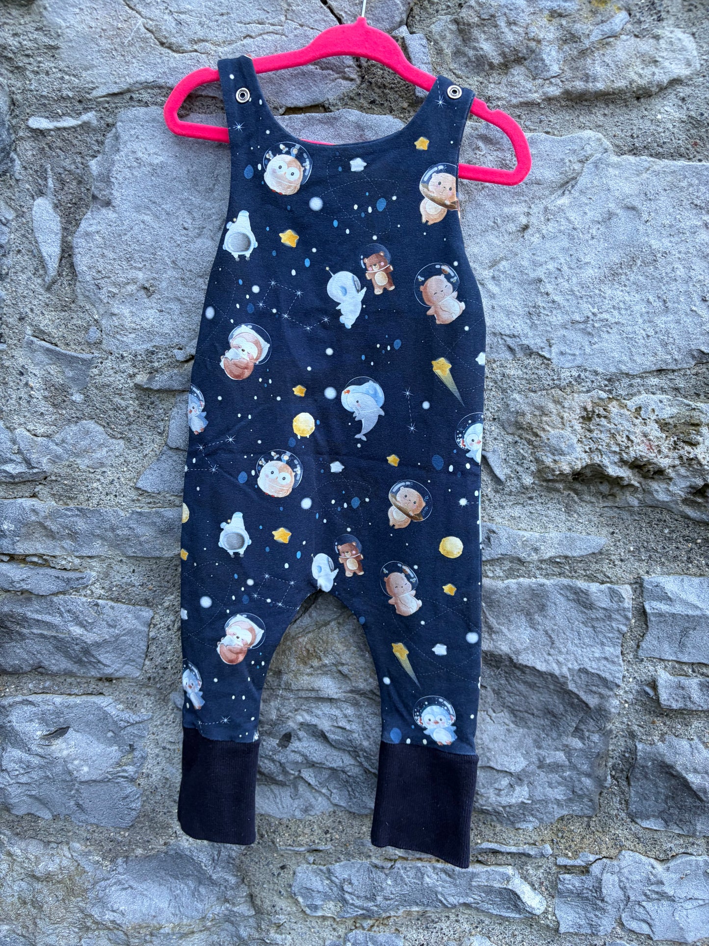 Astronaut animals dungarees 3-12m (62-80cm)