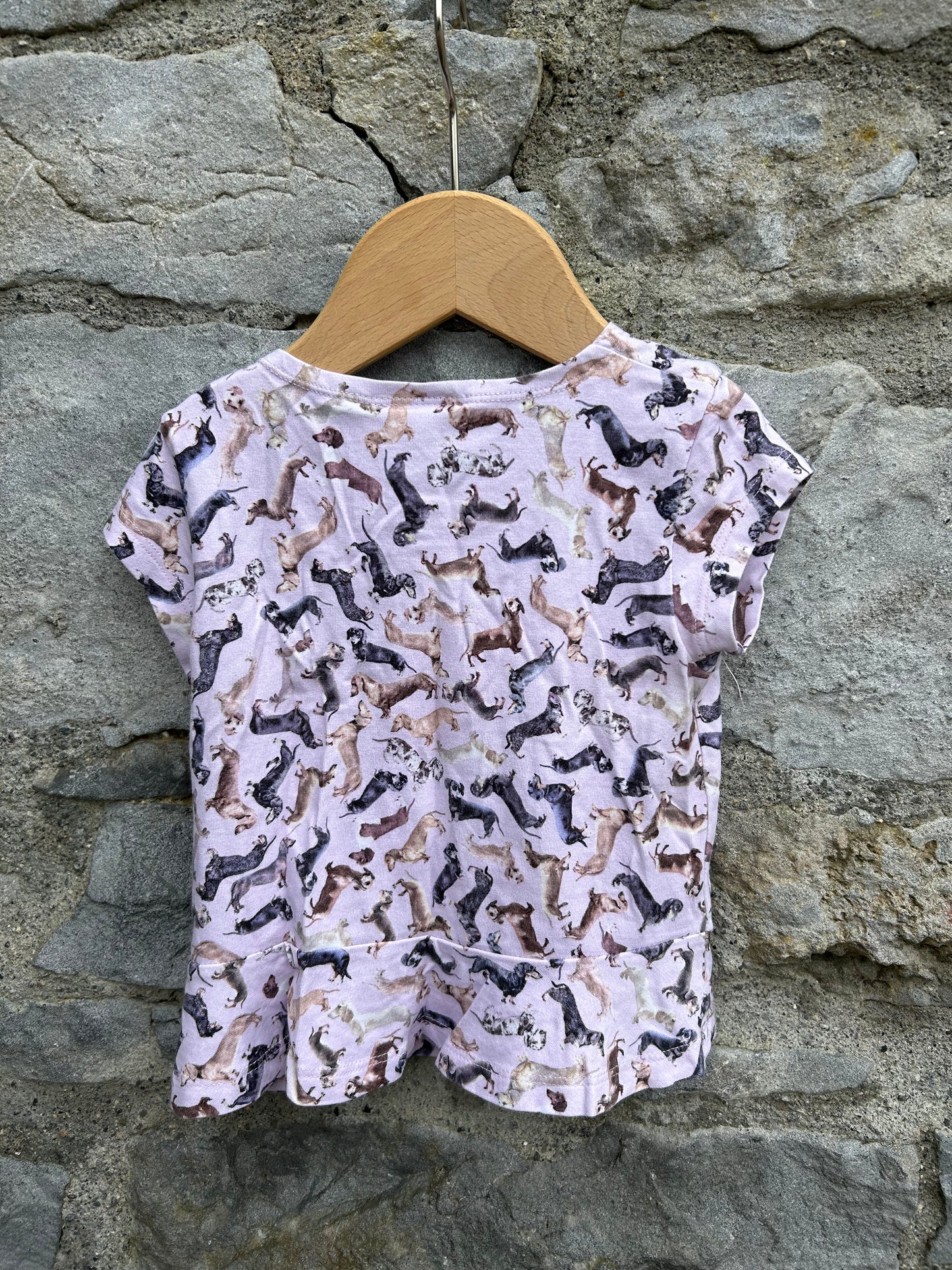 Dachshund beige t-shirt  18-24m (86-92cm)