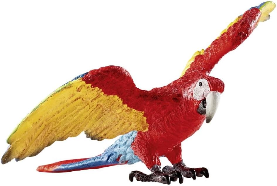 Parrot Macaw