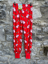 Load image into Gallery viewer, Red pigs baggy pants 11-12y (146-152cm)
