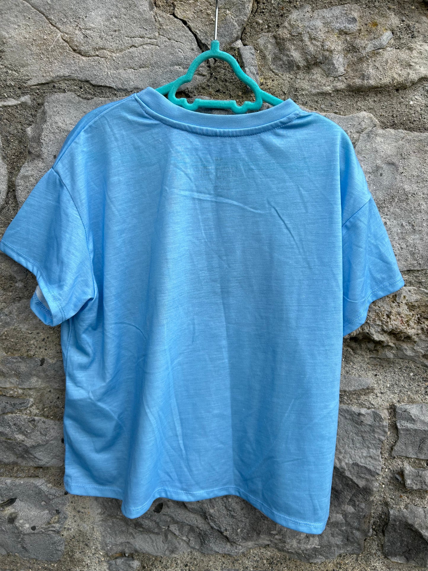 Blue dolphin T-shirt 11-12y (146-152cm)