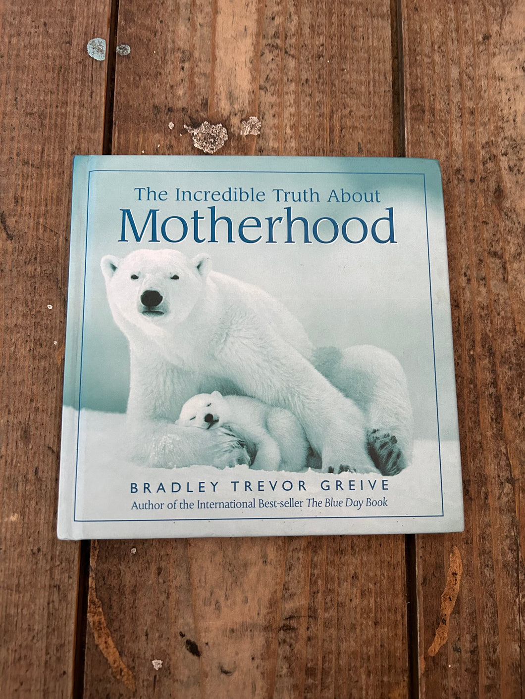 Motherhood book