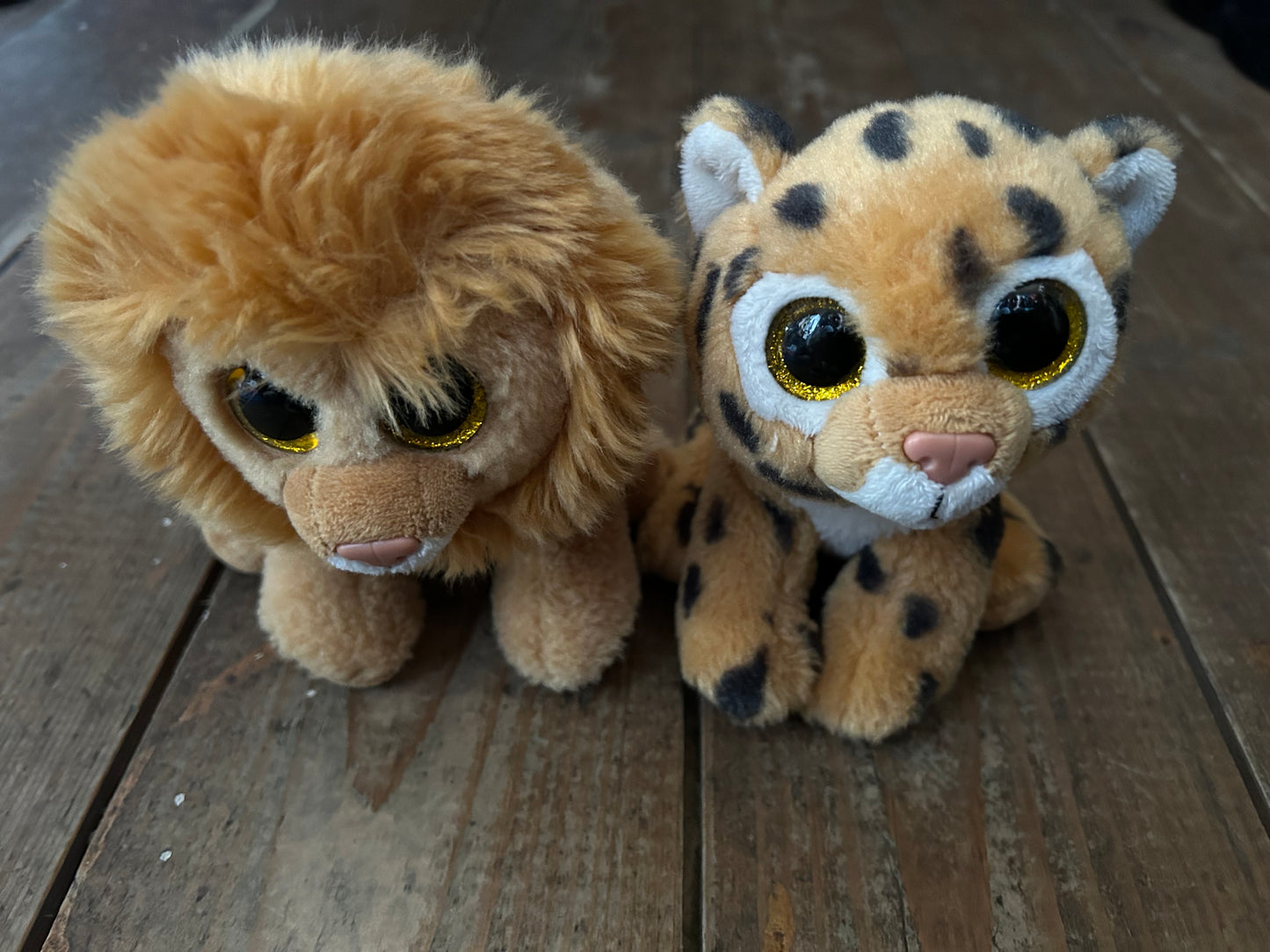 Lion&leopard