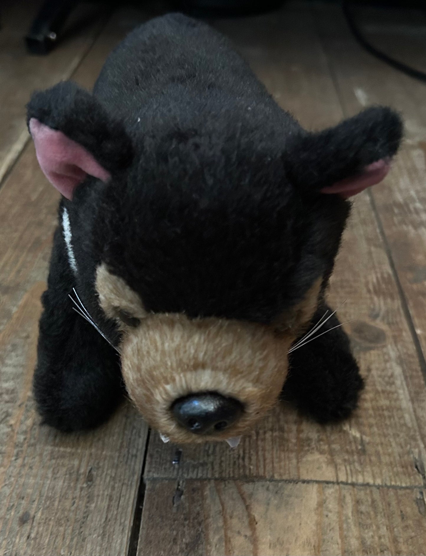 Tasmanian devil soft toy