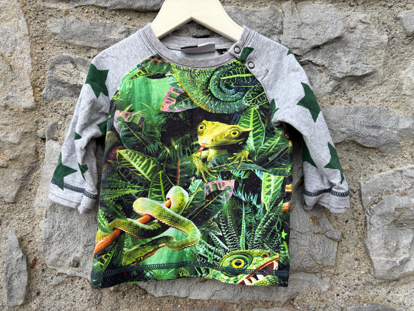 Lizard raglan top  3-6m (62-68cm)