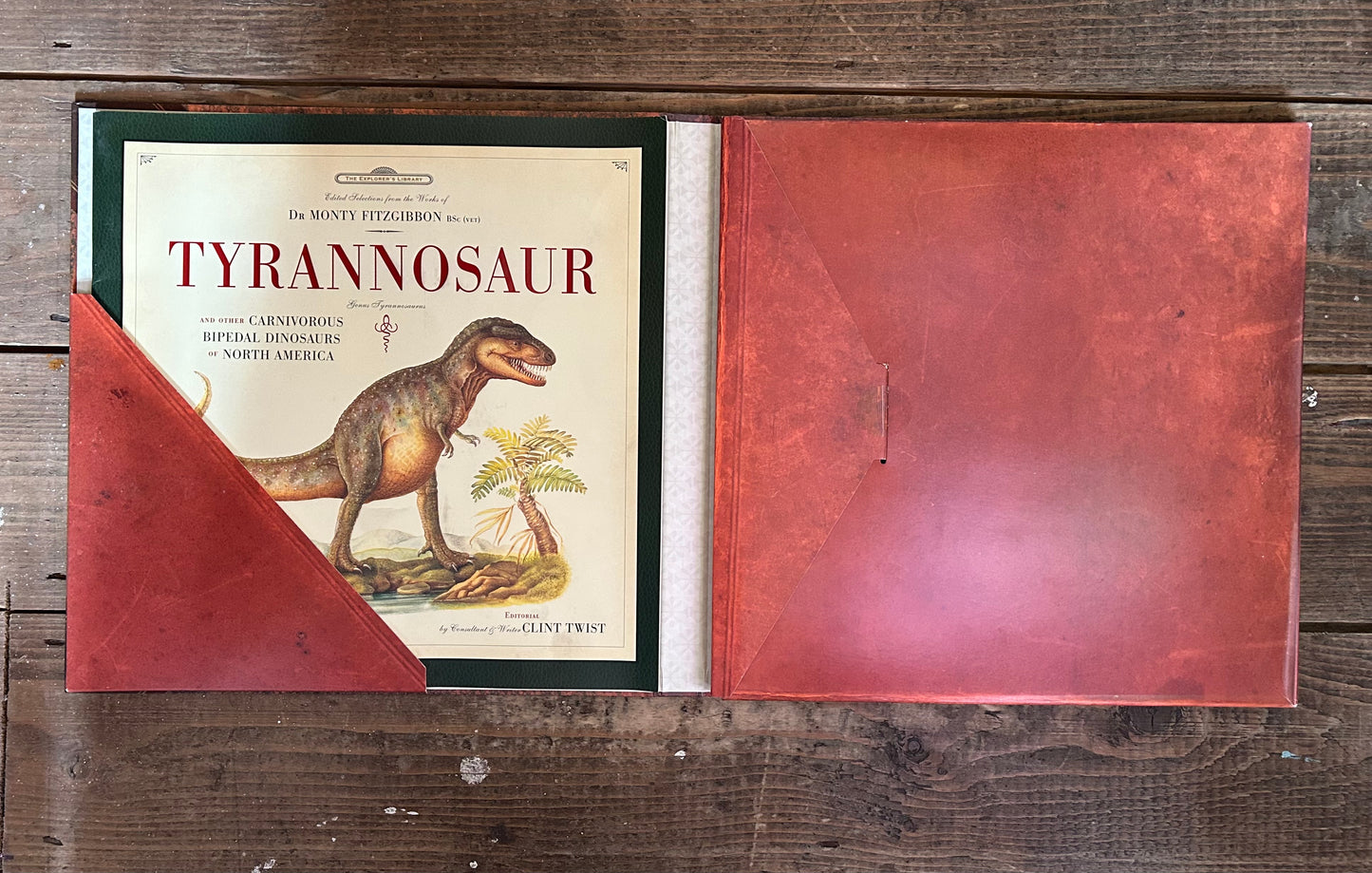 Tyrannosaur by Diz Wallis