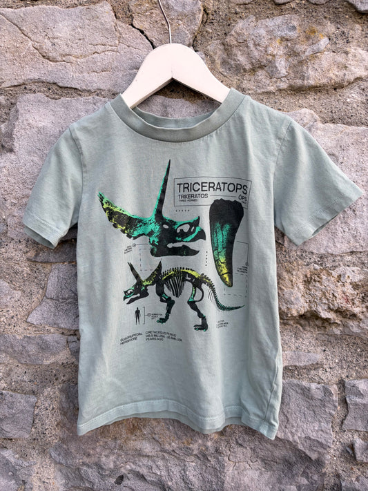 Triceratops grey T-shirt 4y (104cm)