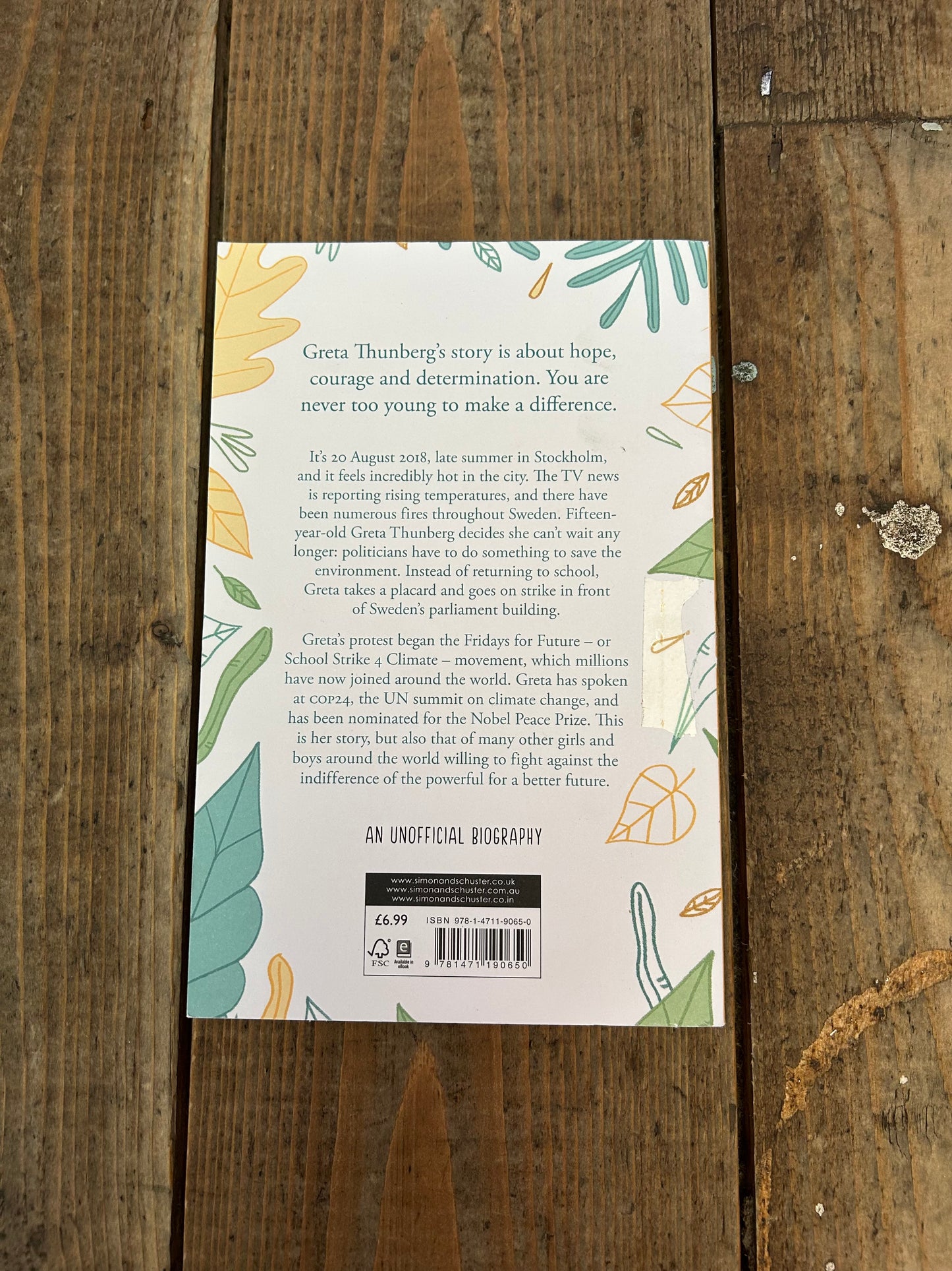 Greta’s story